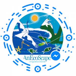 AnEcoScape